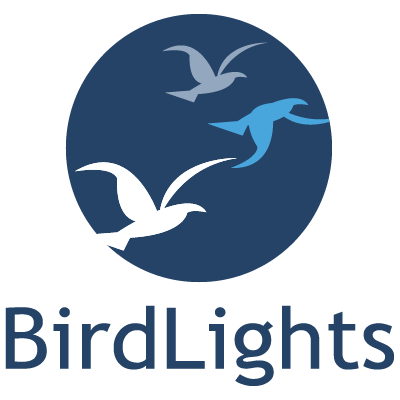 BirdLights